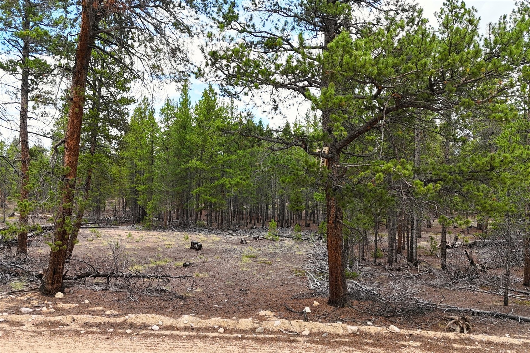 701 Cedar Drive Leadville CO 80461