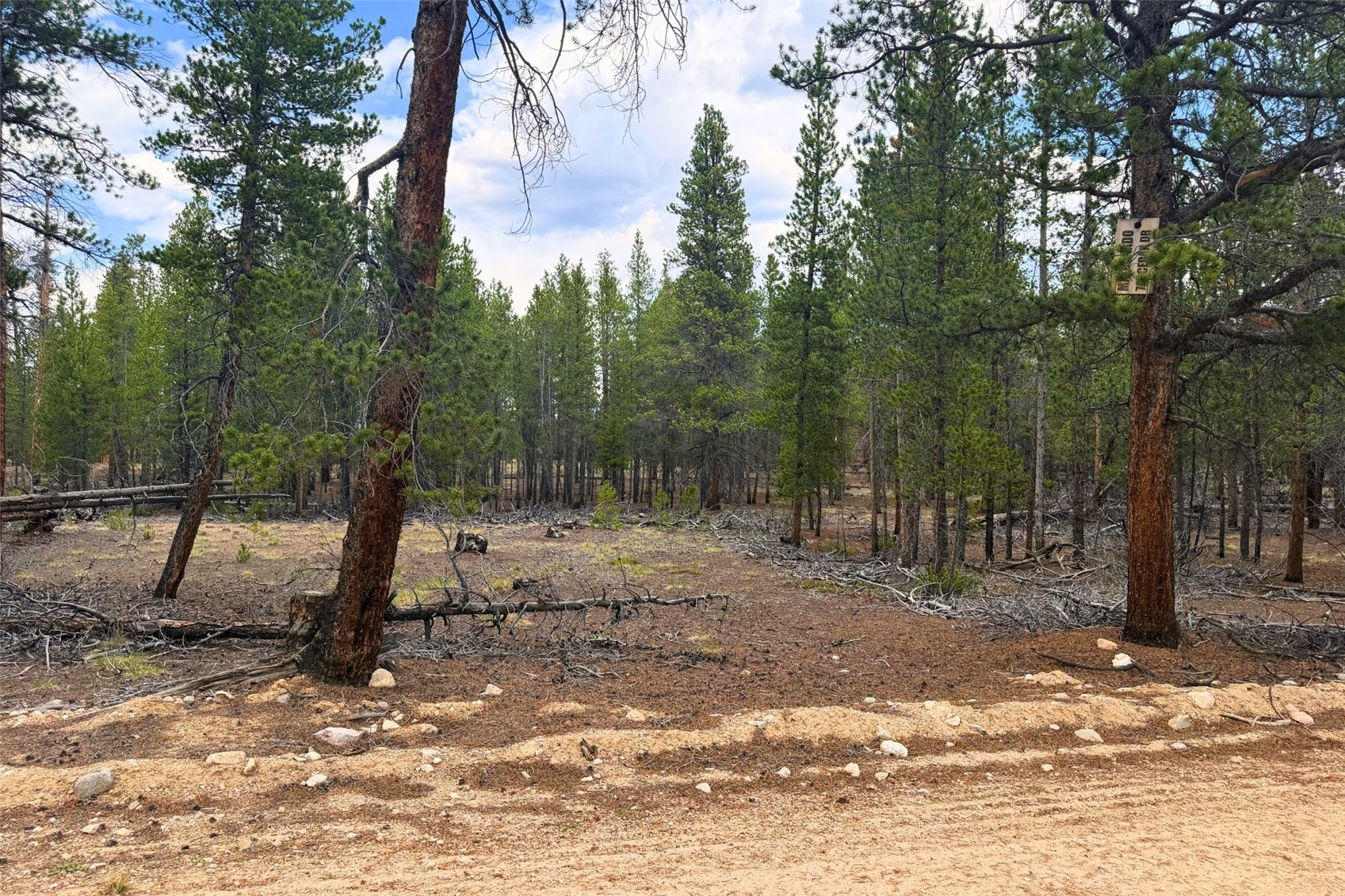 701 Cedar Drive Leadville CO 80461