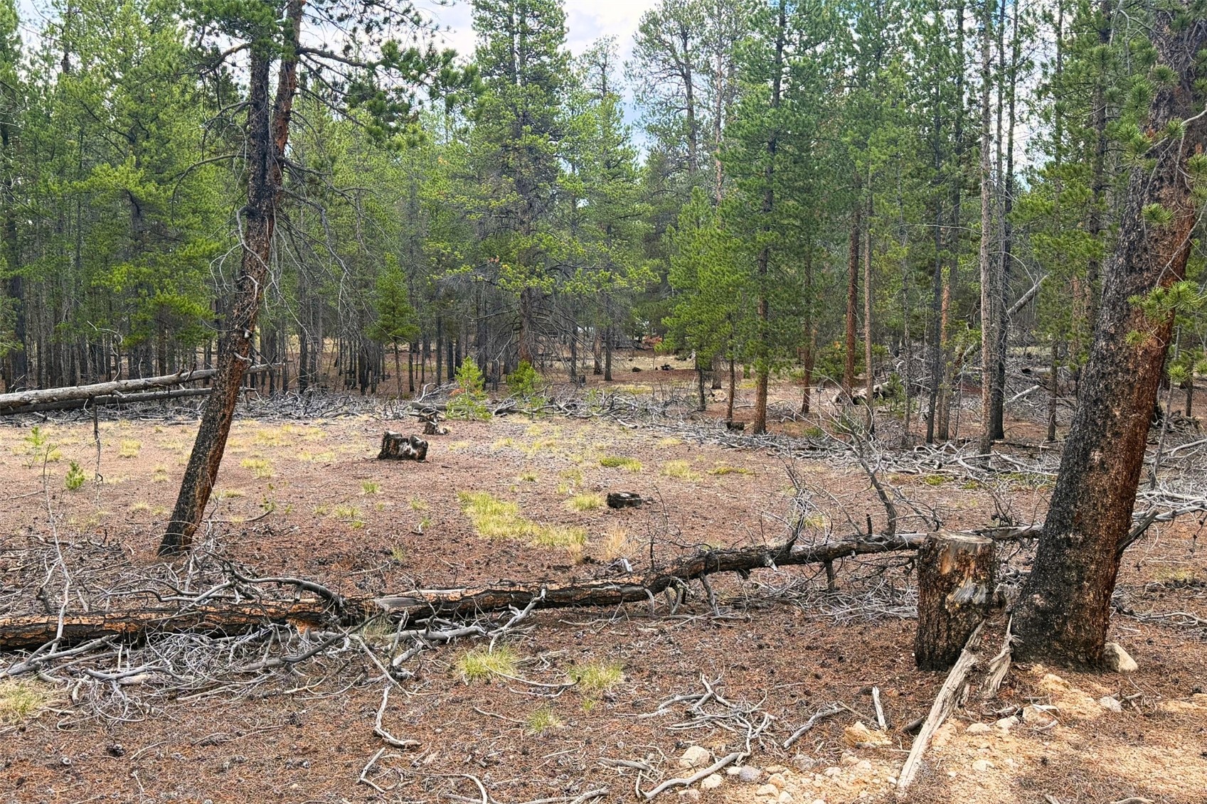 701 Cedar Drive Leadville CO 80461
