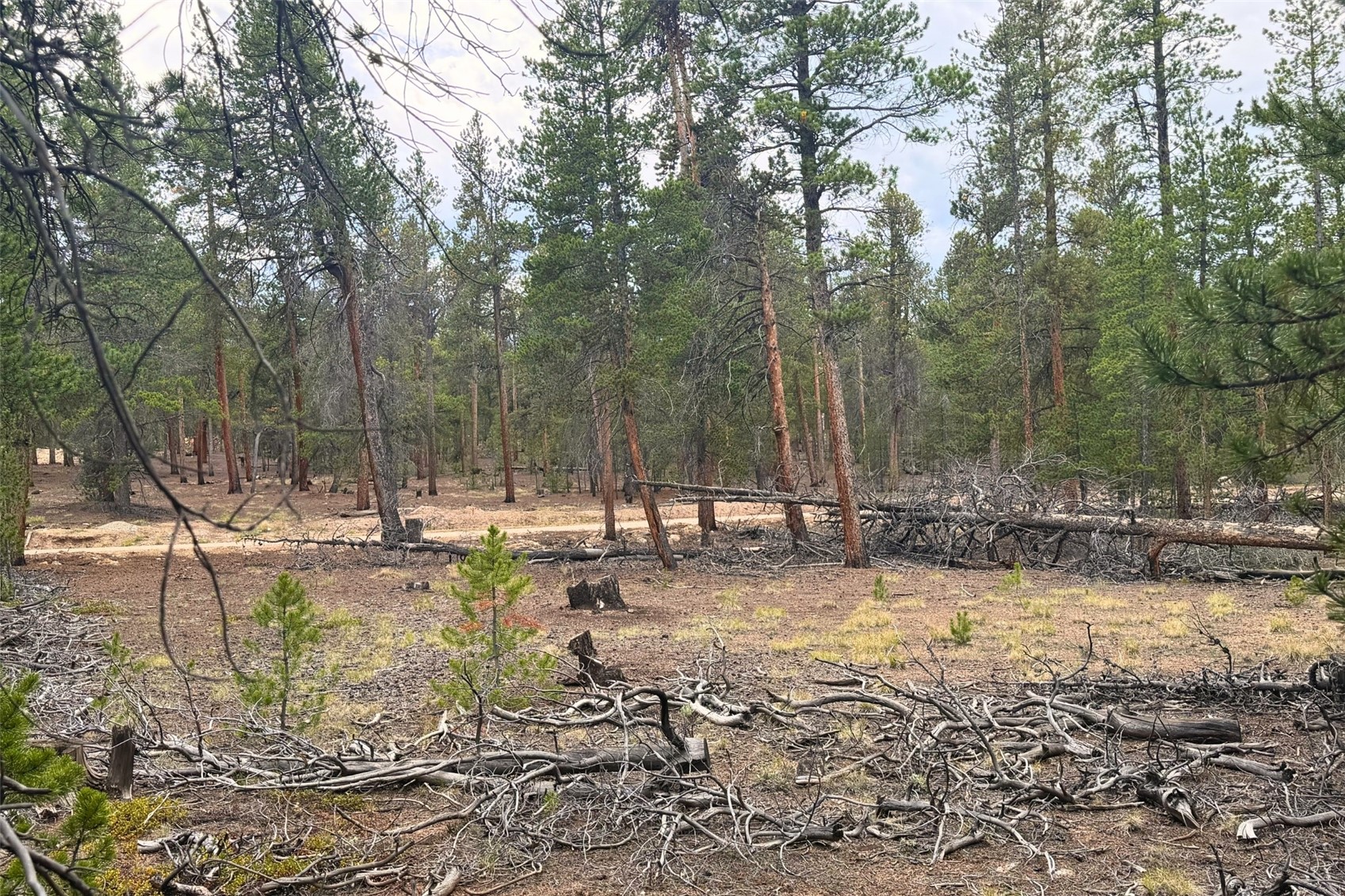 701 Cedar Drive Leadville CO 80461