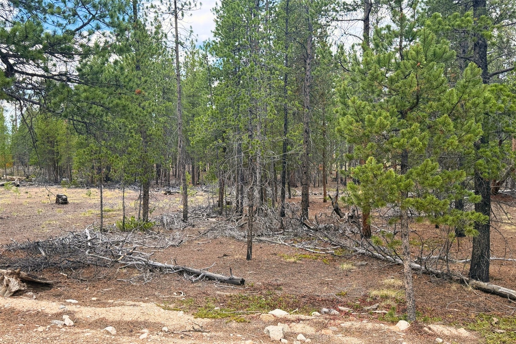 701 Cedar Drive Leadville CO 80461