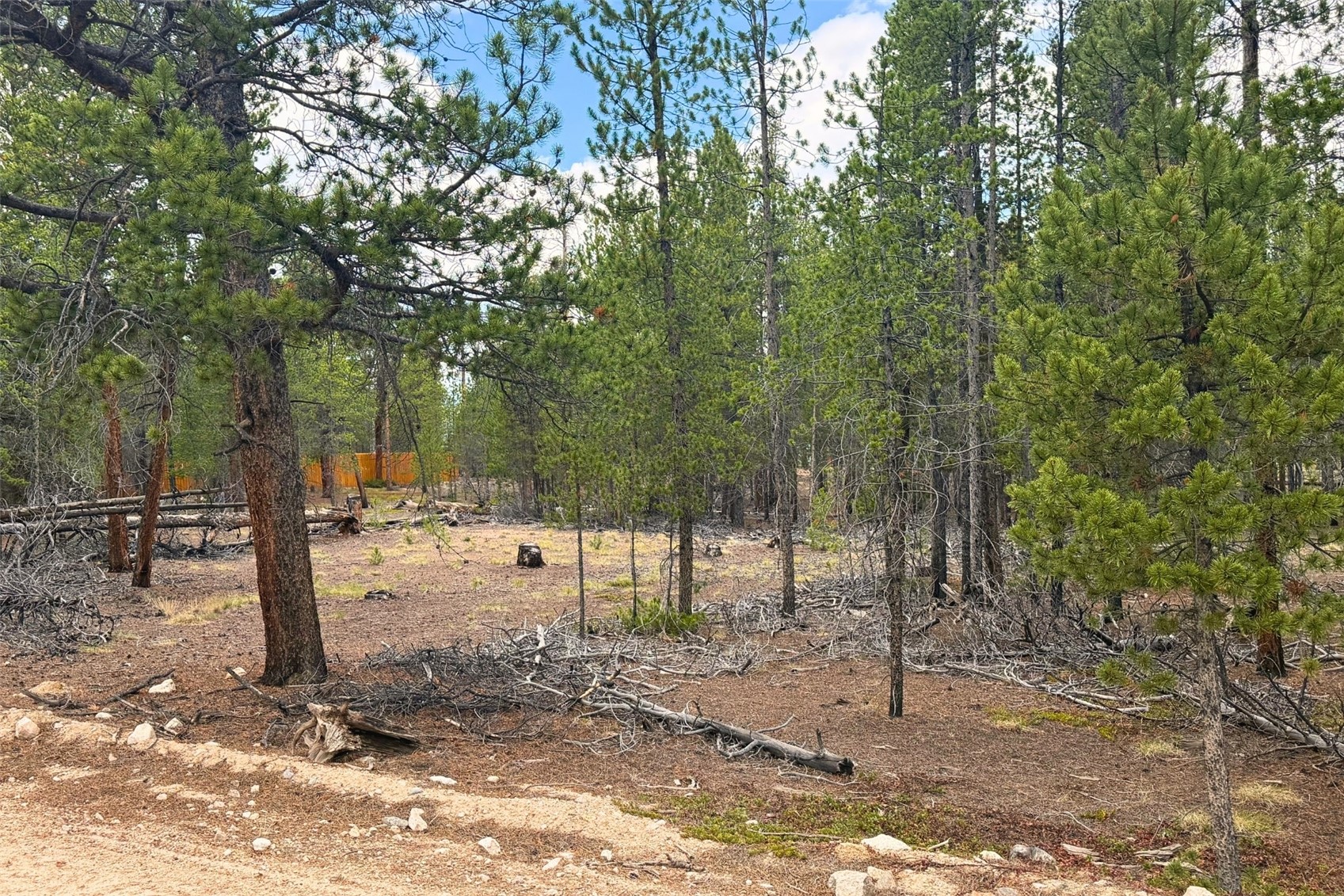 701 Cedar Drive Leadville CO 80461