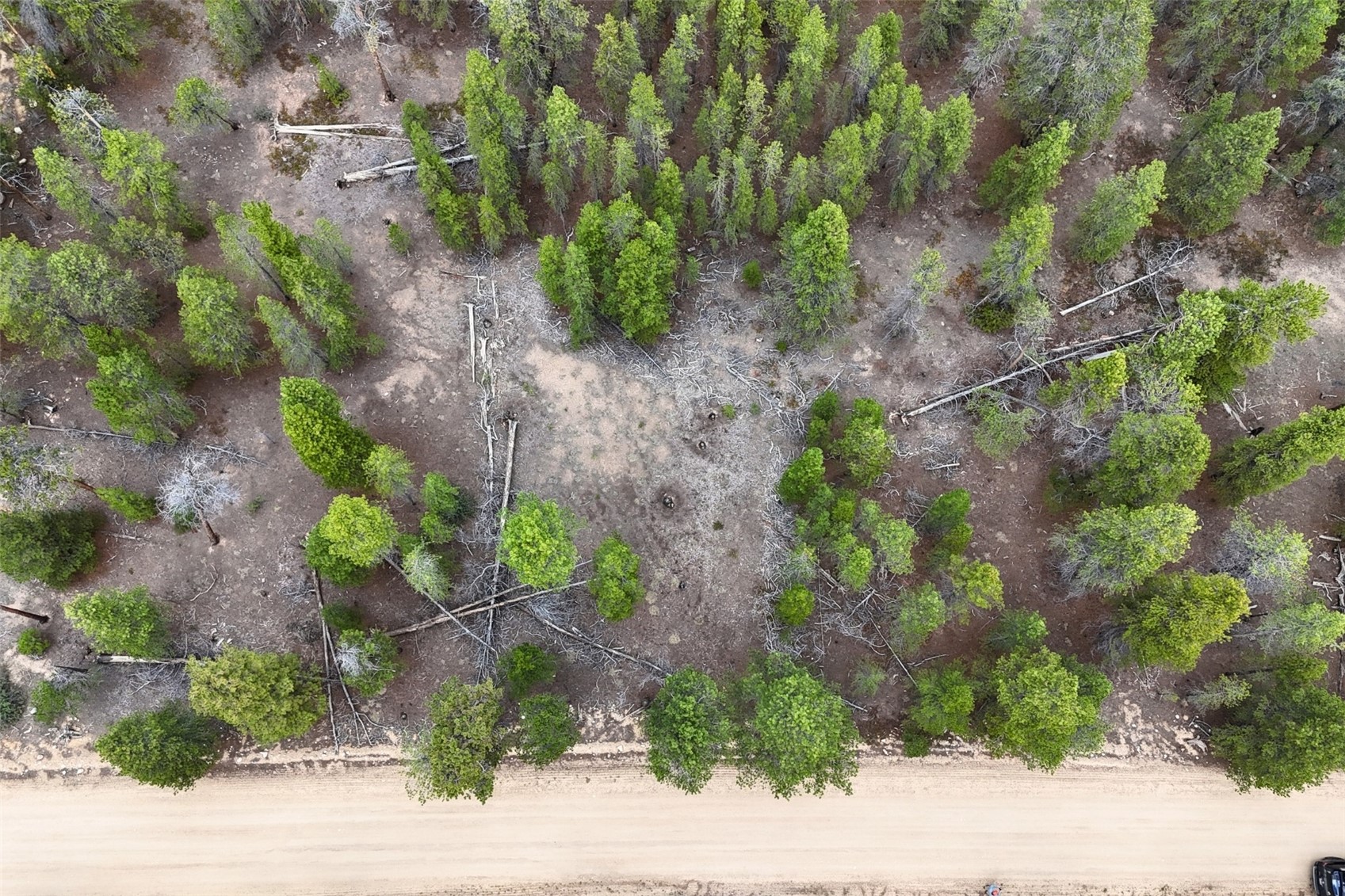 701 Cedar Drive Leadville CO 80461