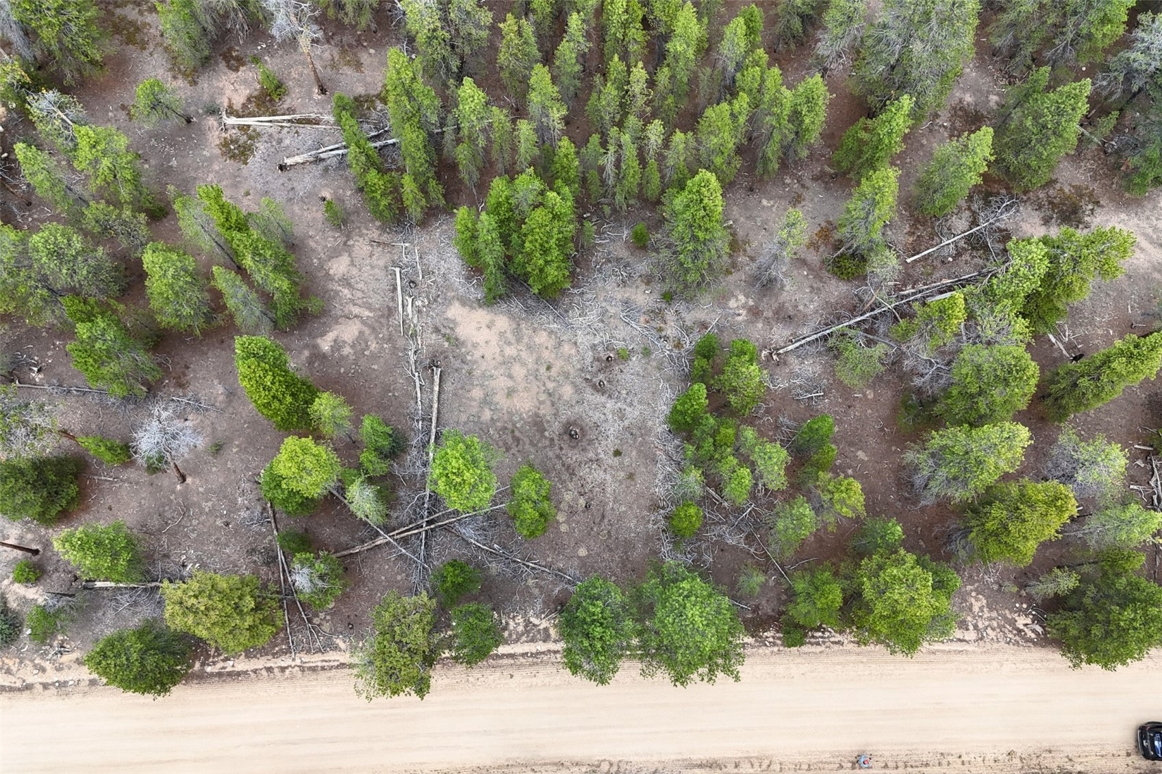 701 Cedar Drive Leadville CO 80461