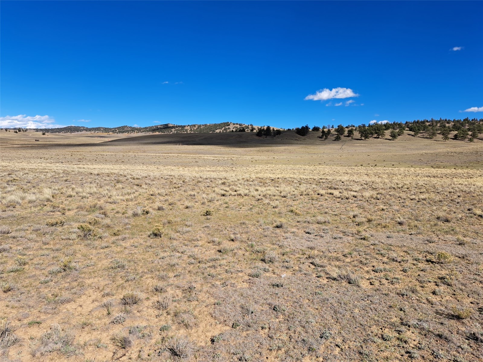 00 Vaquero Way Como CO 80432