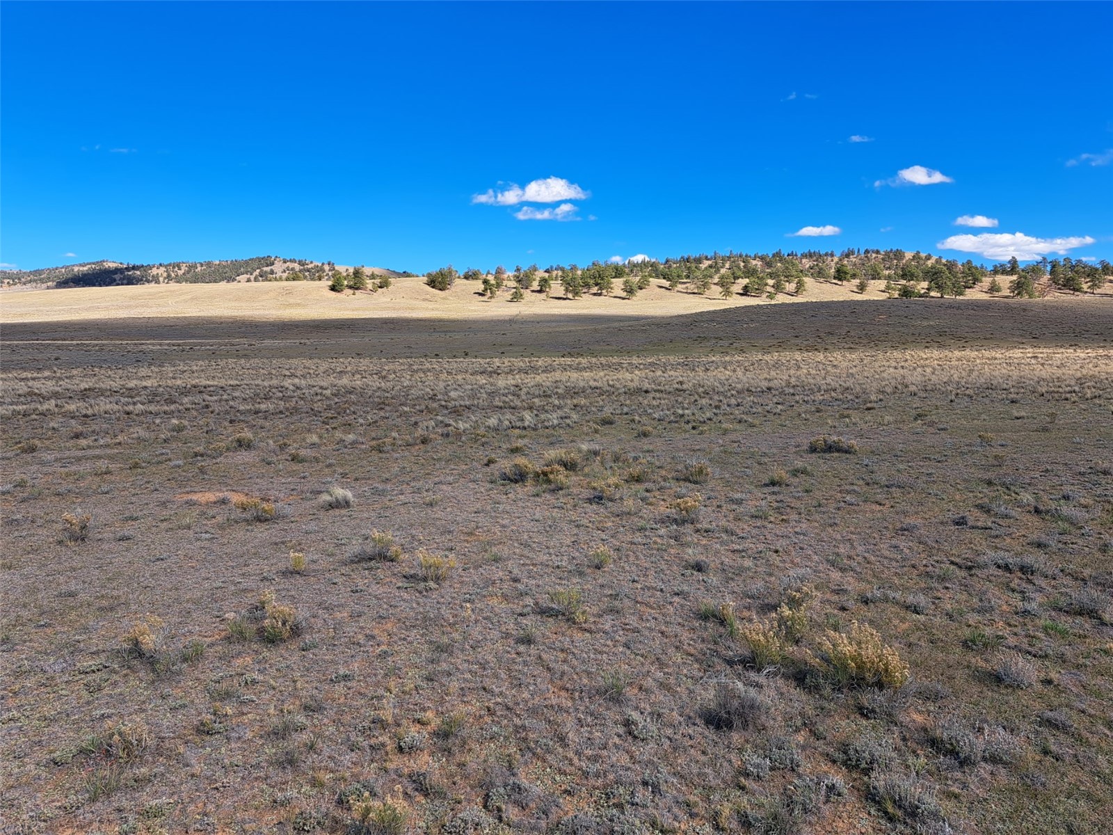 00 Vaquero Way Como CO 80432