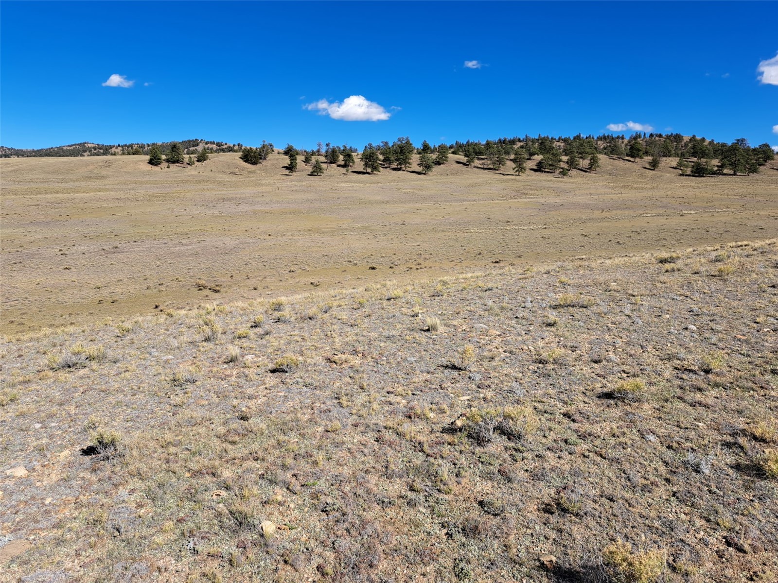 00 Vaquero Way Como CO 80432