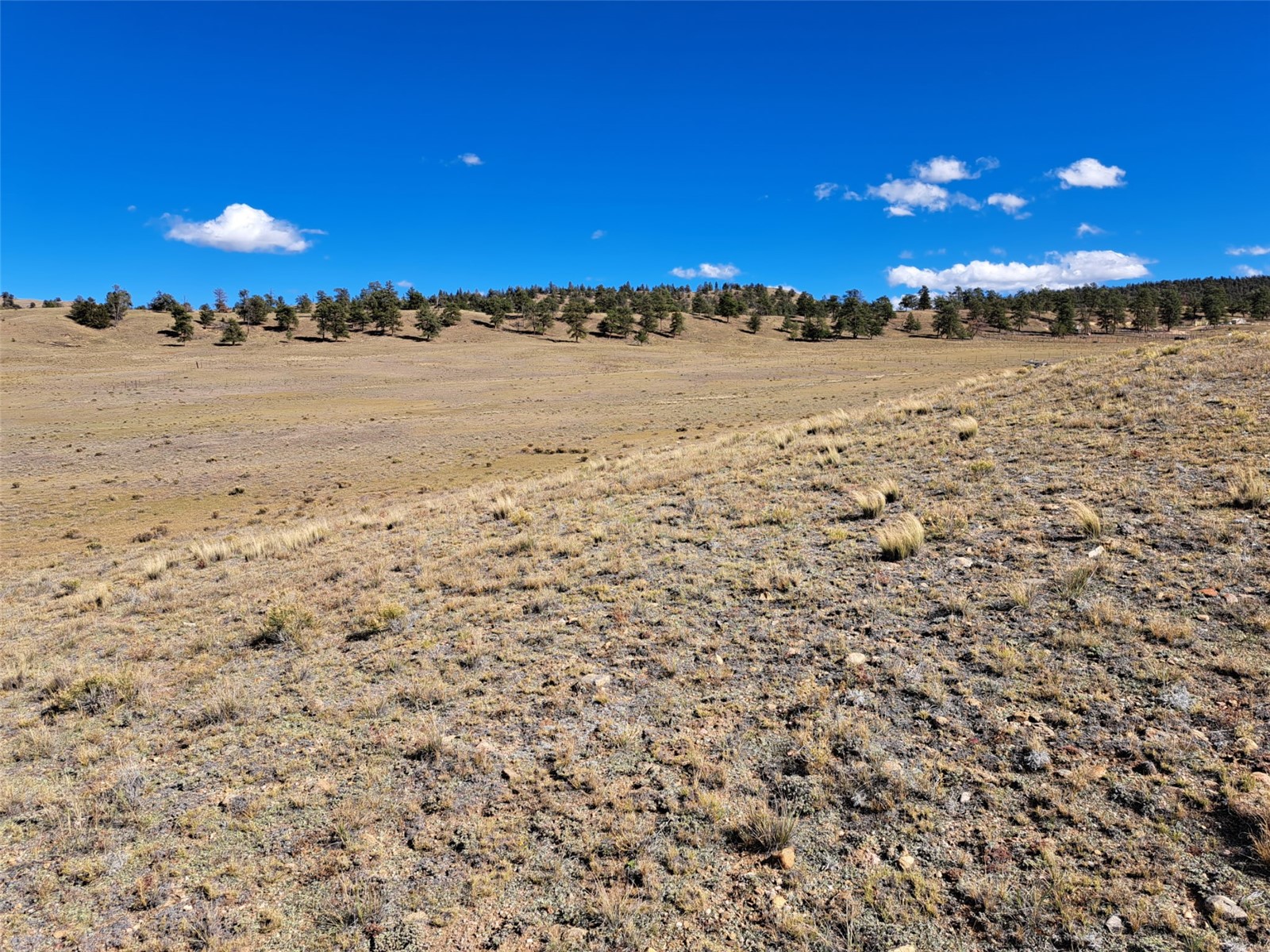 00 Vaquero Way Como CO 80432