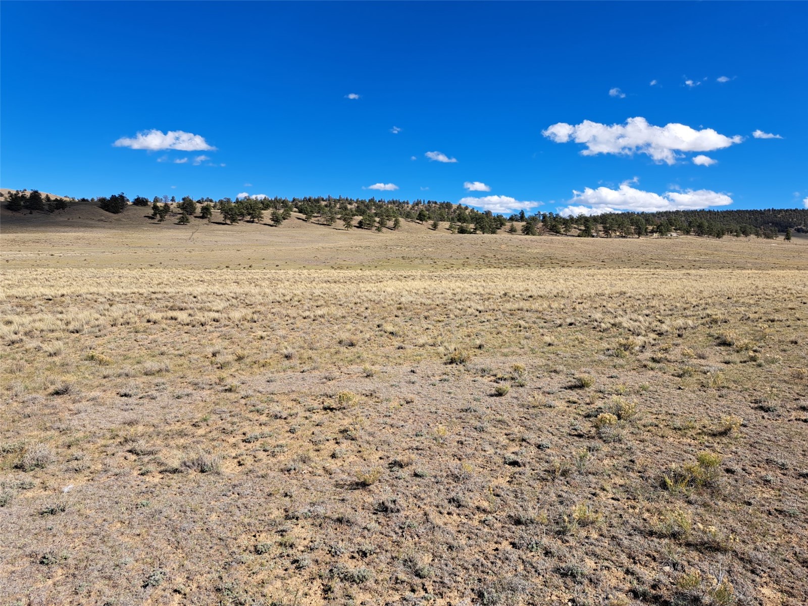 00 Vaquero Way Como CO 80432