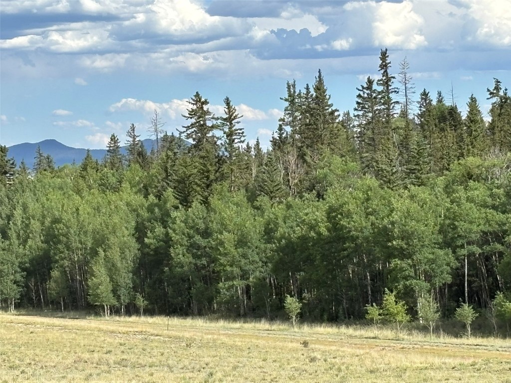 702 Pinto Trail Como CO 80432