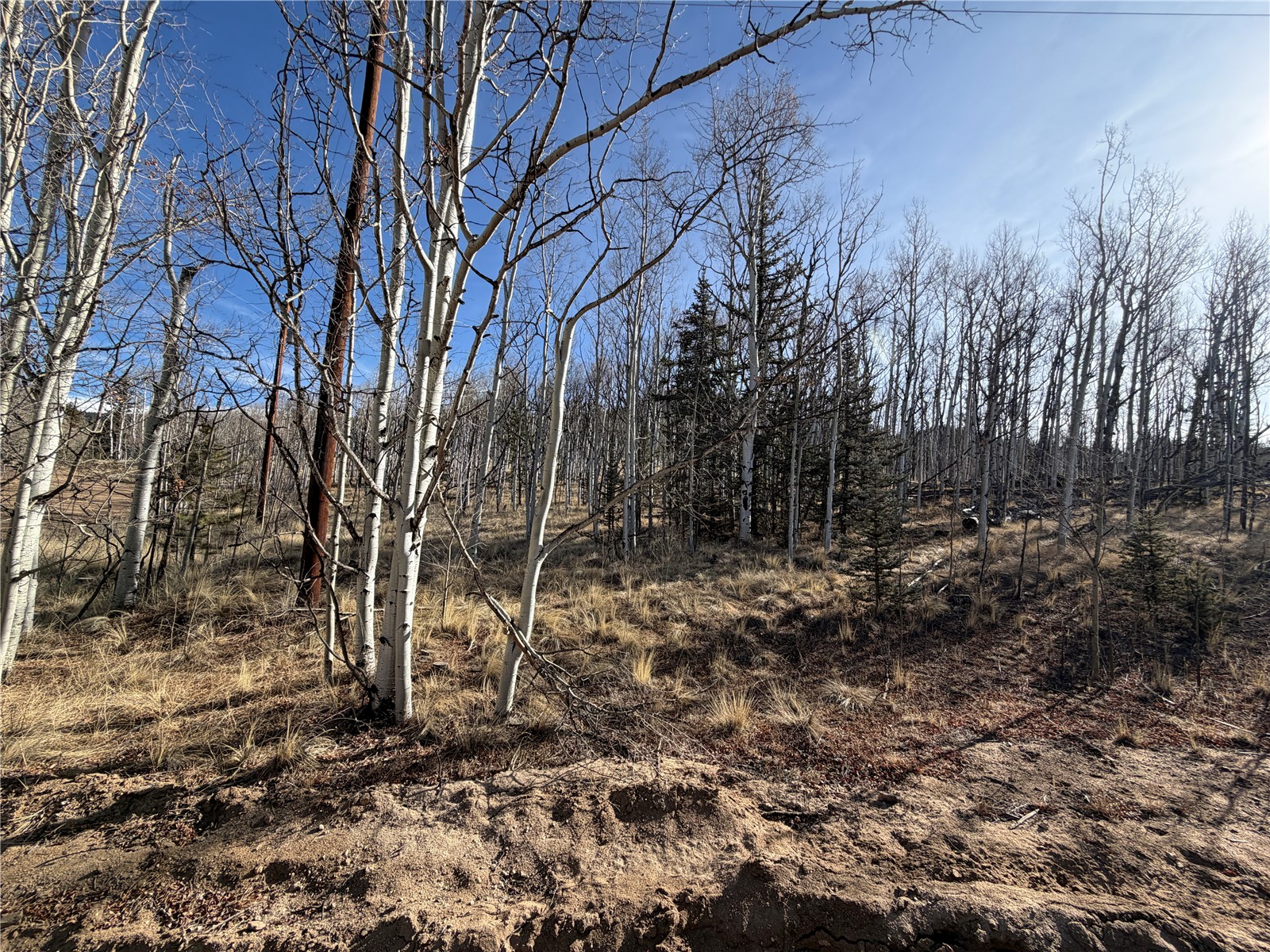 32 Sugar Loaf Lane Jefferson CO 80456