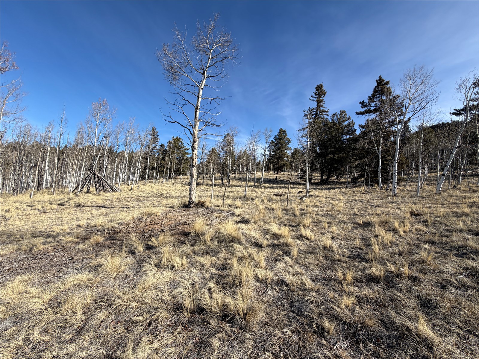 32 Sugar Loaf Lane Jefferson CO 80456
