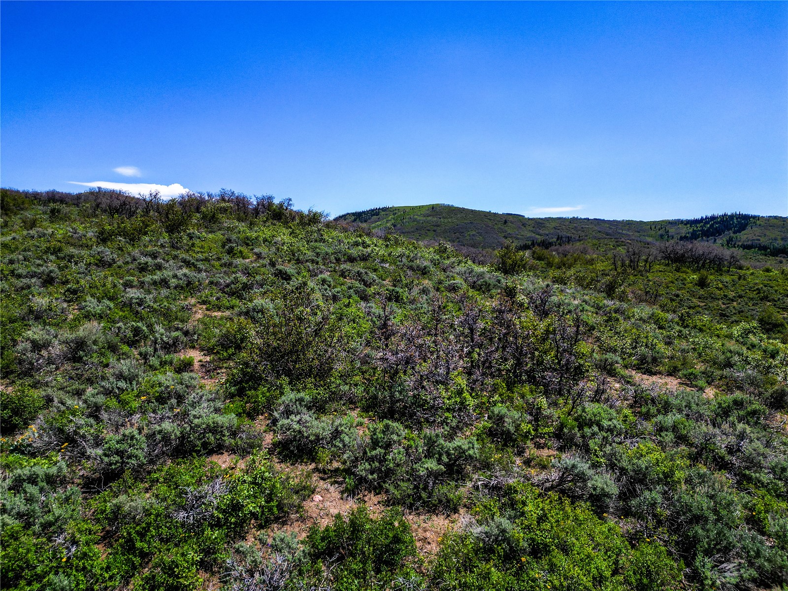 000 County Road 129 Steamboat Springs CO 80487