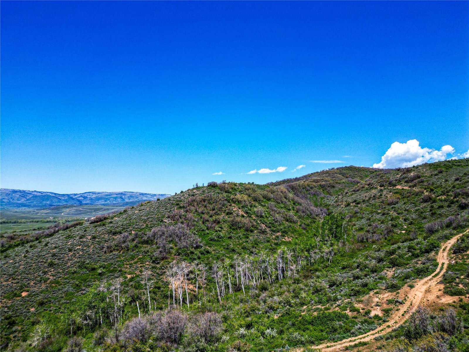 000 County Road 129 Steamboat Springs CO 80487