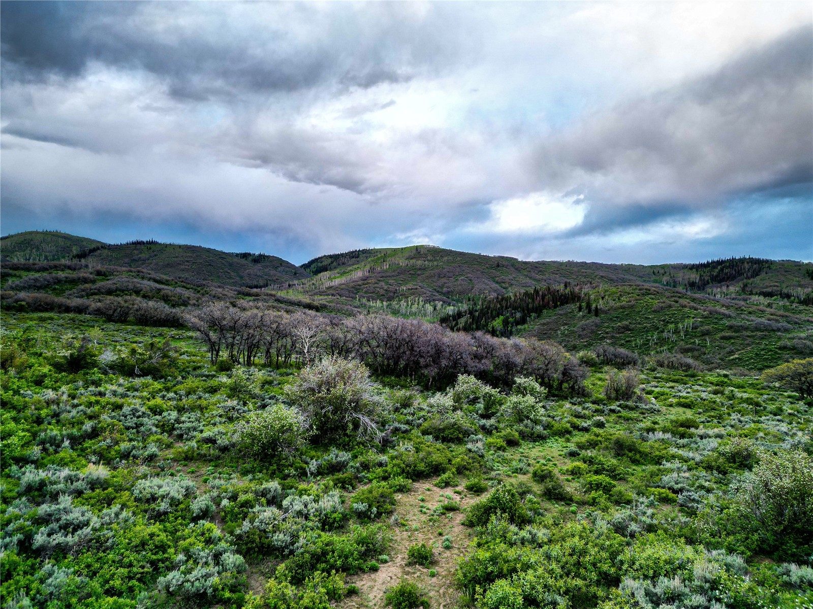 000 County Road 129 Steamboat Springs CO 80487