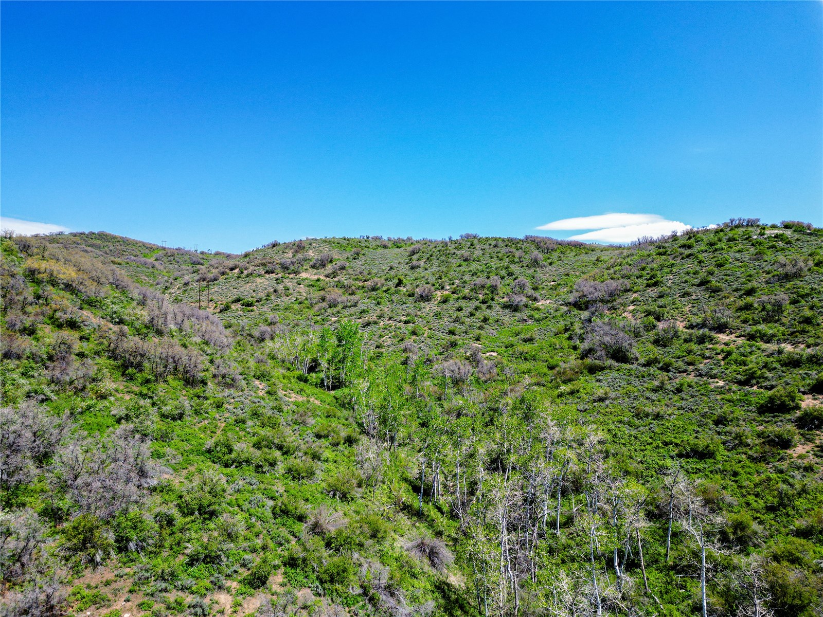 000 County Road 129 Steamboat Springs CO 80487