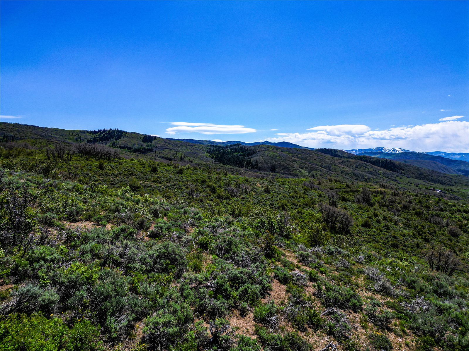 000 County Road 129 Steamboat Springs CO 80487