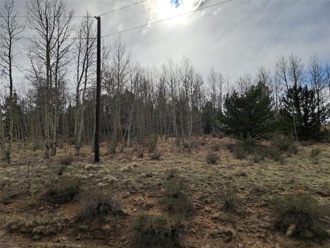 1411 Travois Road Como CO 80432