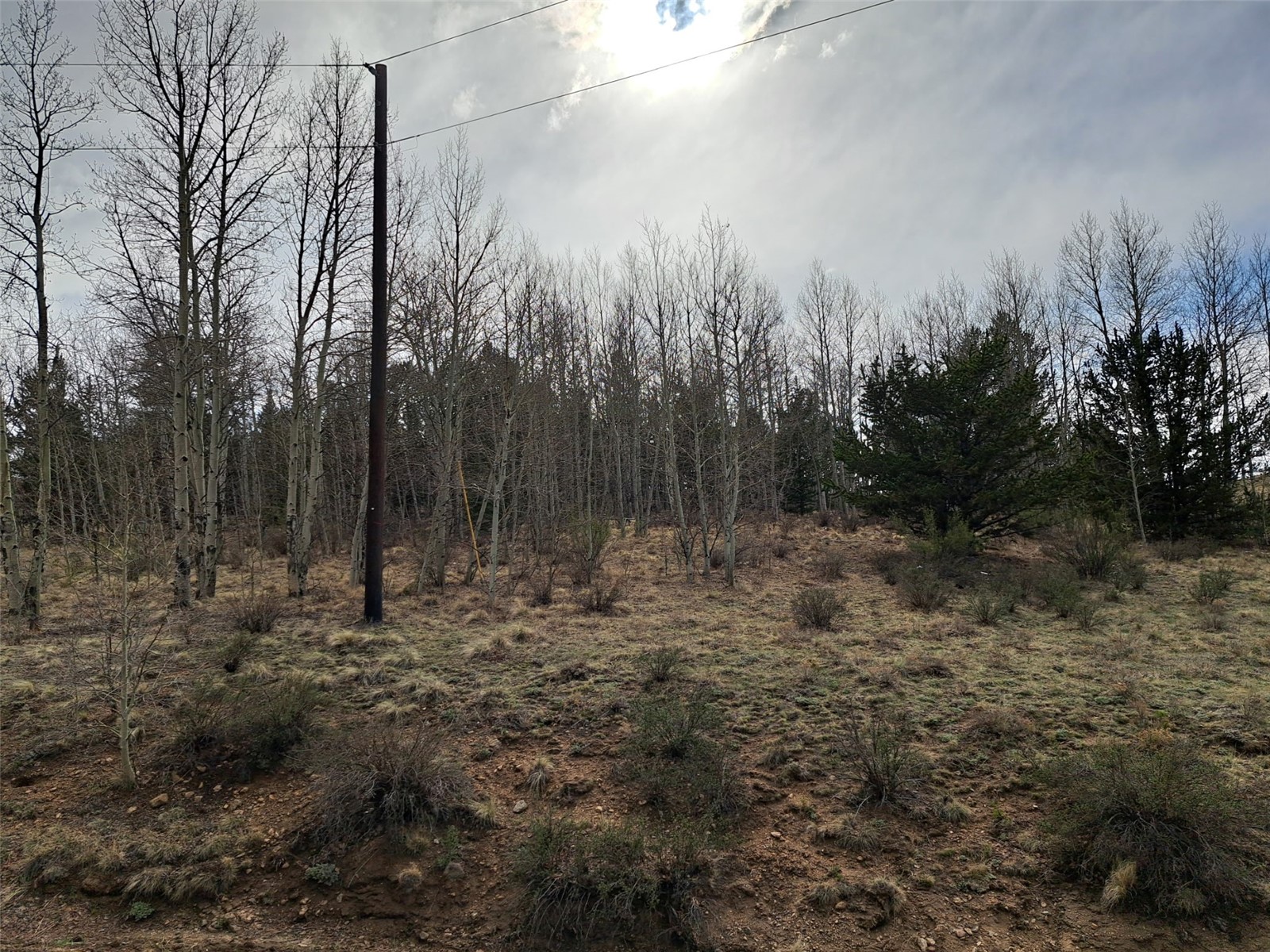 1411 Travois Road Como CO 80432