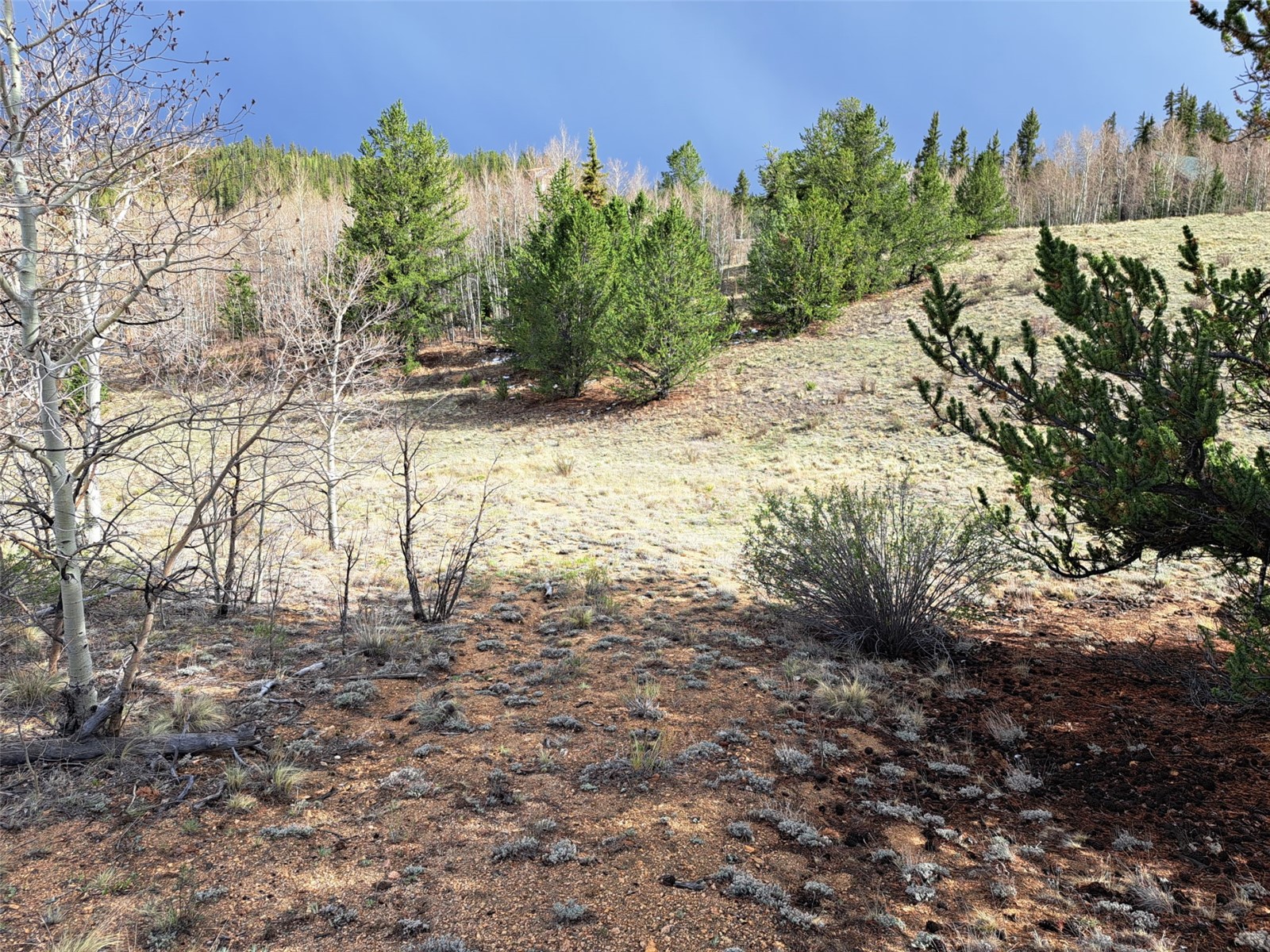 1411 Travois Road Como CO 80432