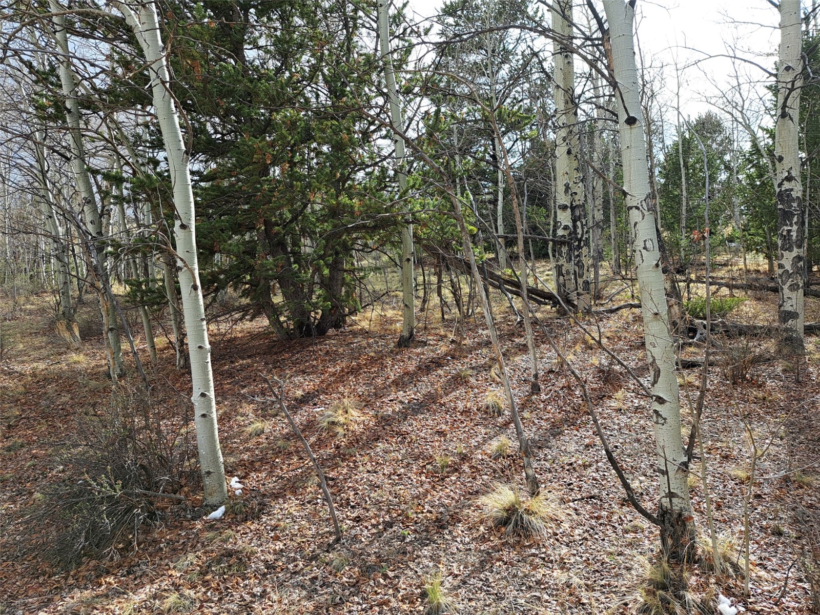 1411 Travois Road Como CO 80432