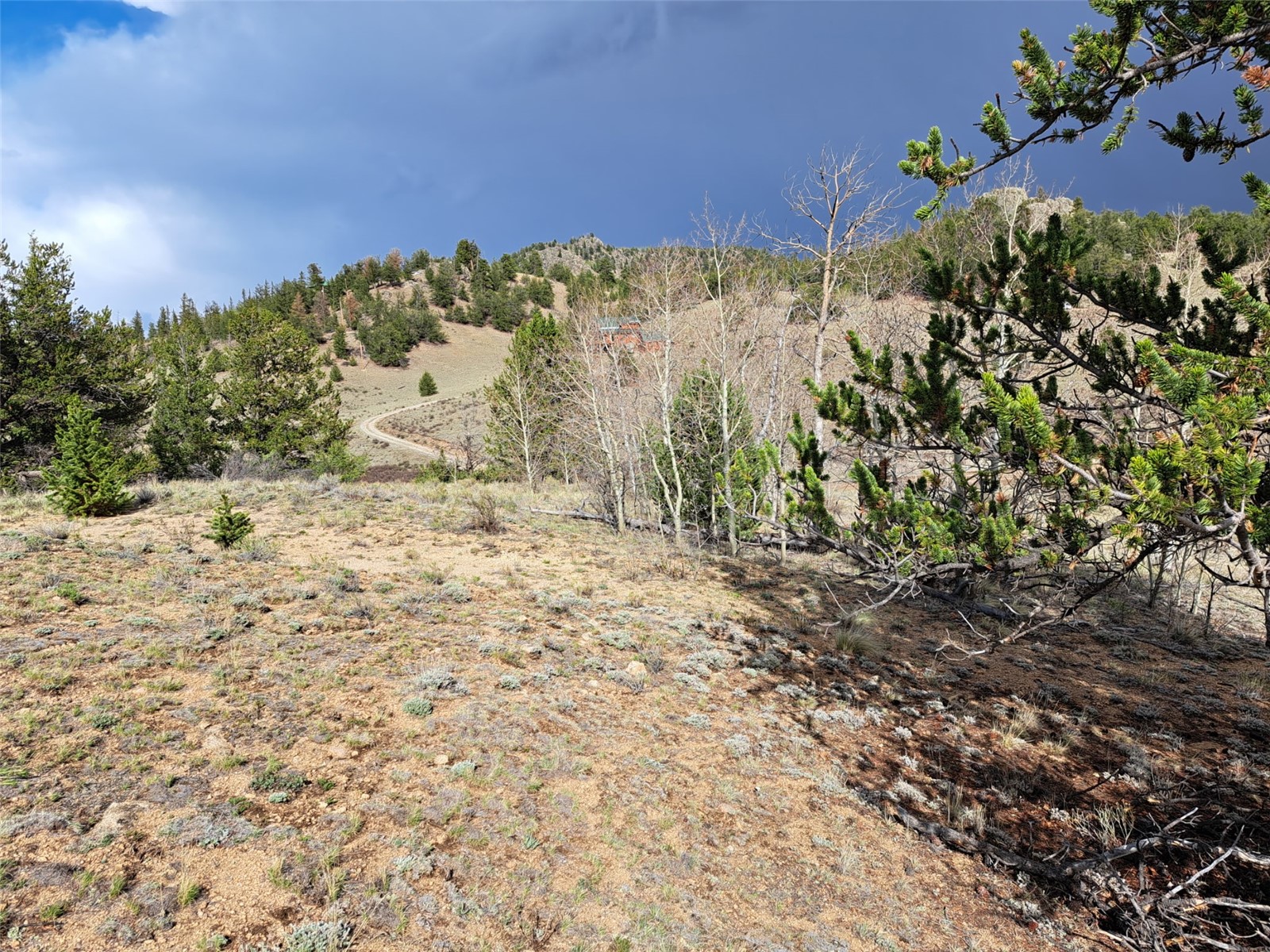 1411 Travois Road Como CO 80432