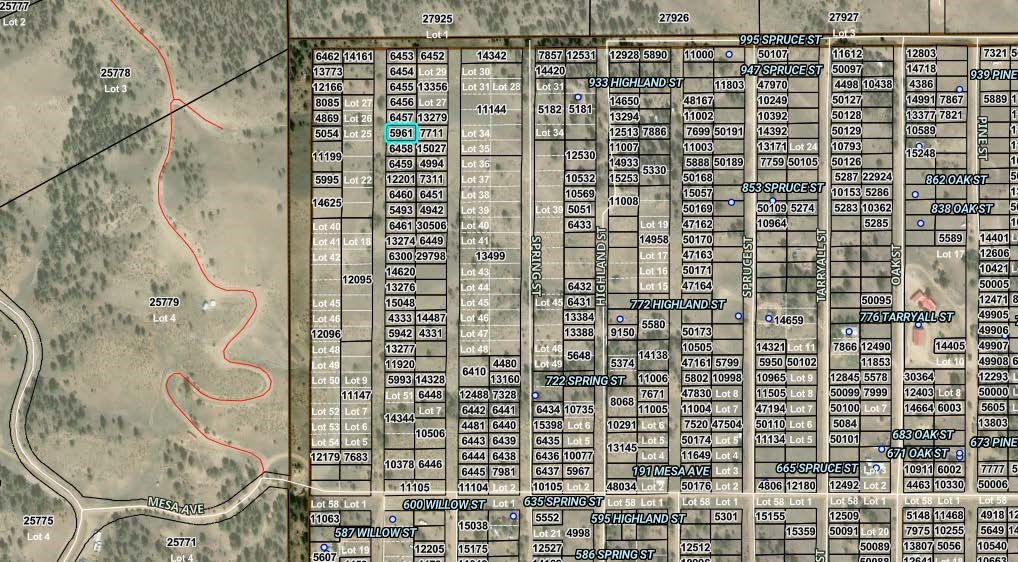 0 Willow Street Hartsel CO 80449
