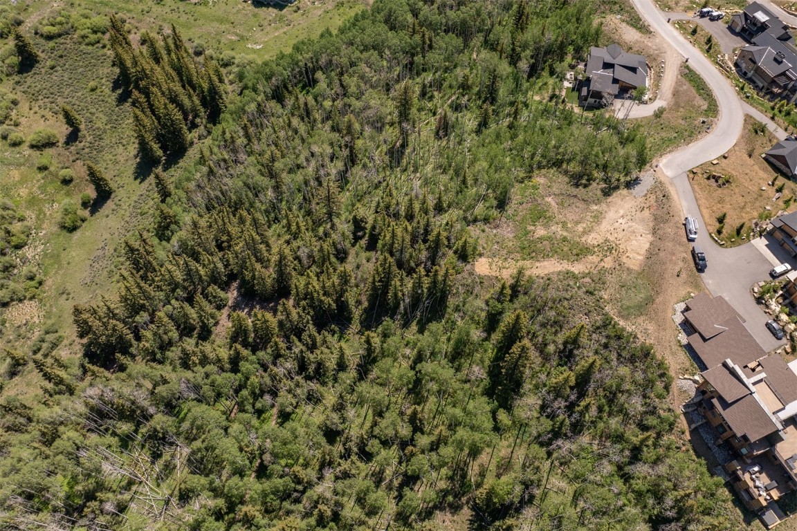 70 Mayfly Drive Silverthorne CO 80498
