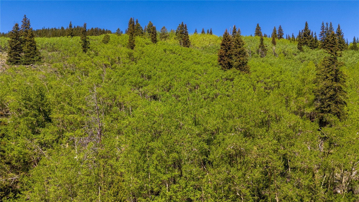 1255 Quartzville Road Alma CO 80440