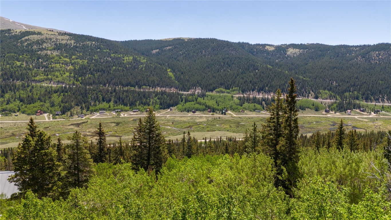 1255 Quartzville Road Alma CO 80440