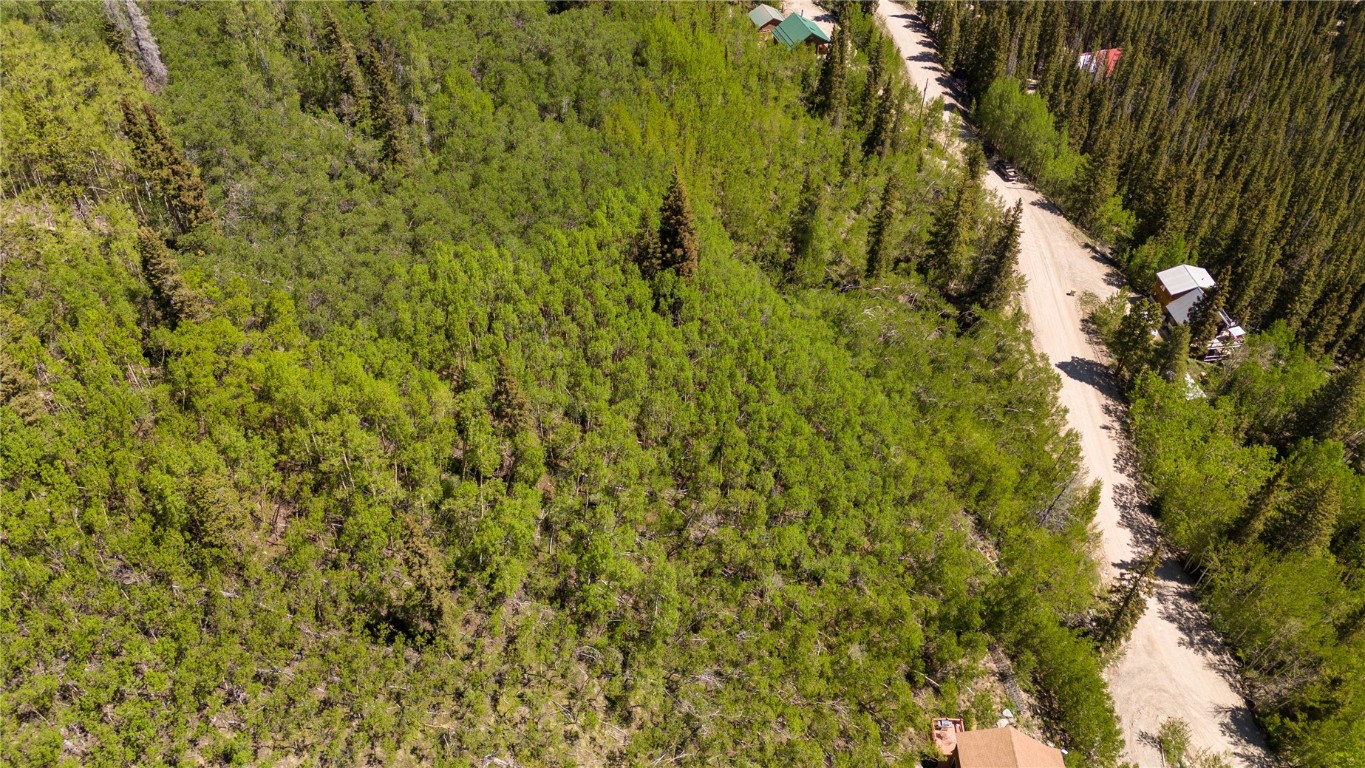 1255 Quartzville Road Alma CO 80440