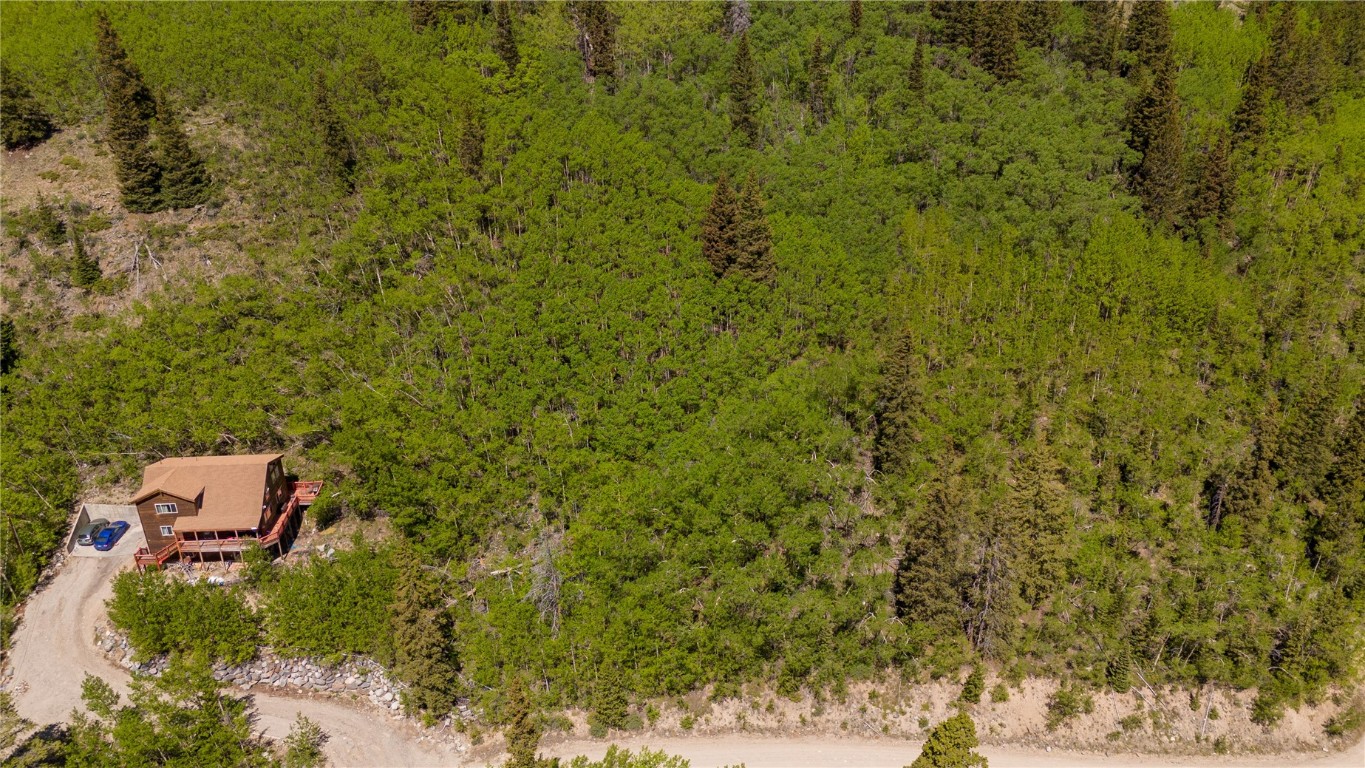 1255 Quartzville Road Alma CO 80440