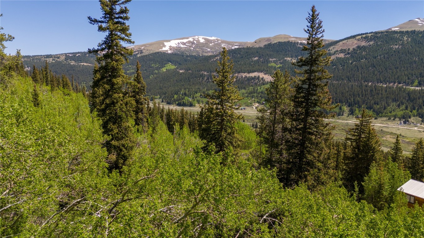1255 Quartzville Road Alma CO 80440