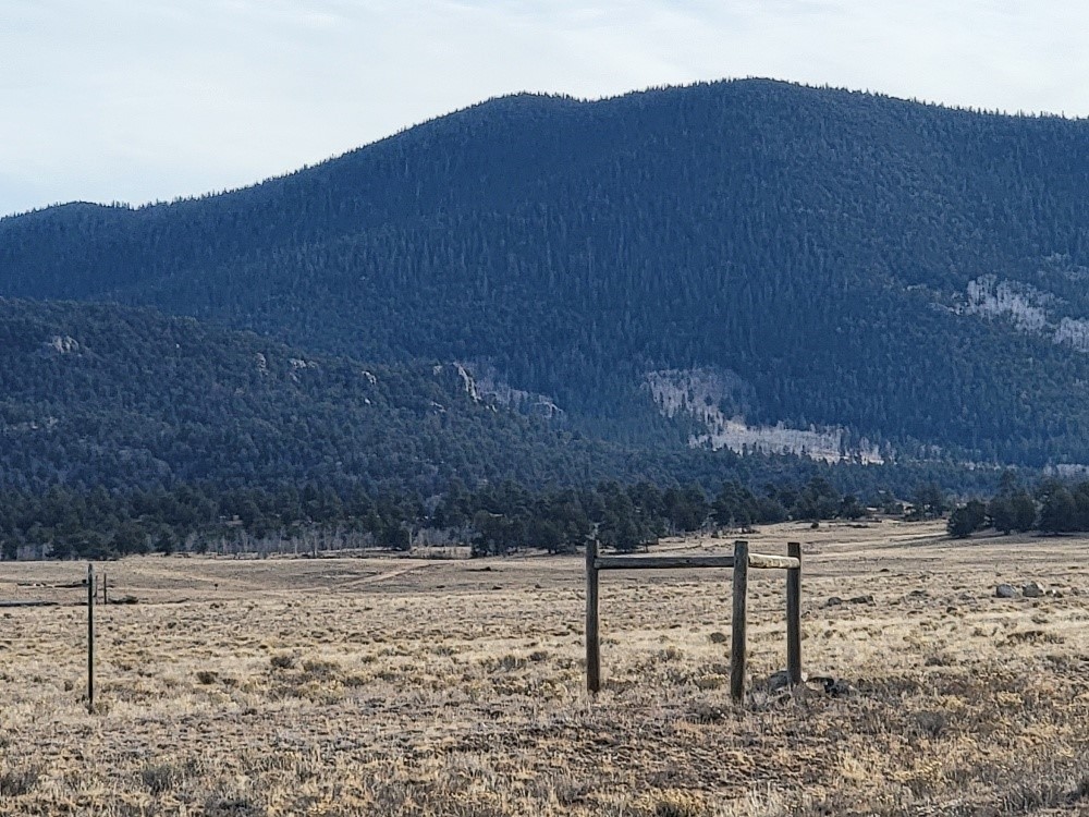 1162 Rocky Mountain Road Hartsel CO 80449