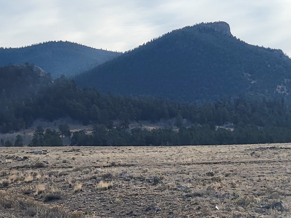 1162 Rocky Mountain Road Hartsel CO 80449