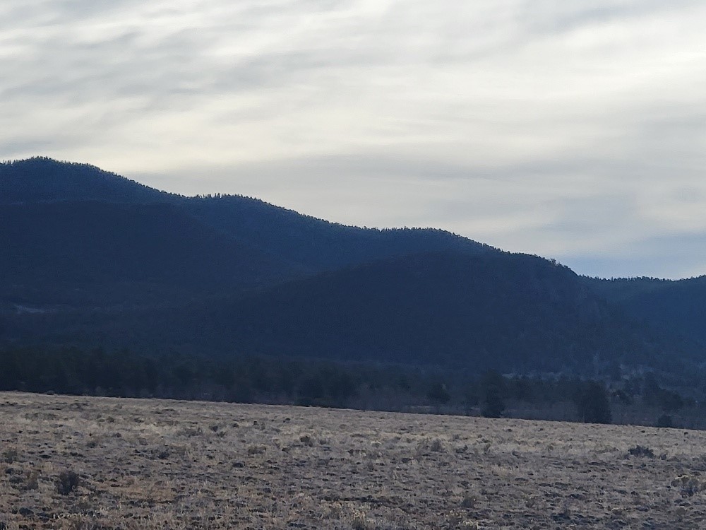 1162 Rocky Mountain Road Hartsel CO 80449