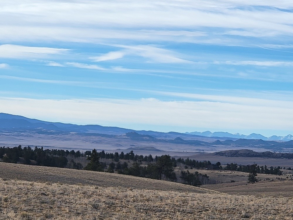 1162 Rocky Mountain Road Hartsel CO 80449
