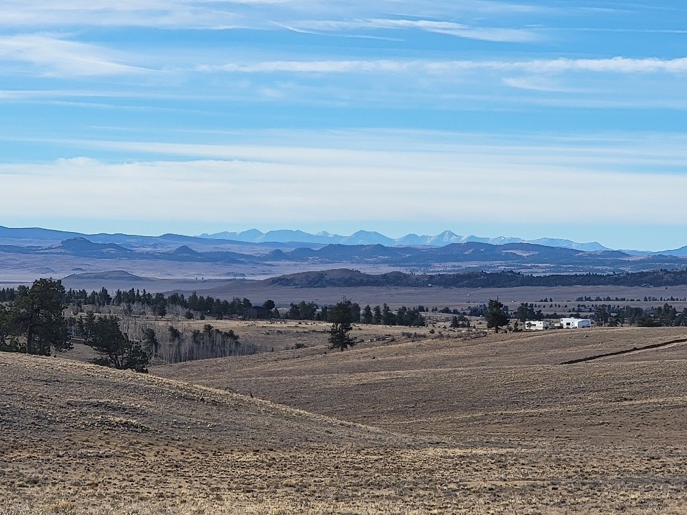 1162 Rocky Mountain Road Hartsel CO 80449
