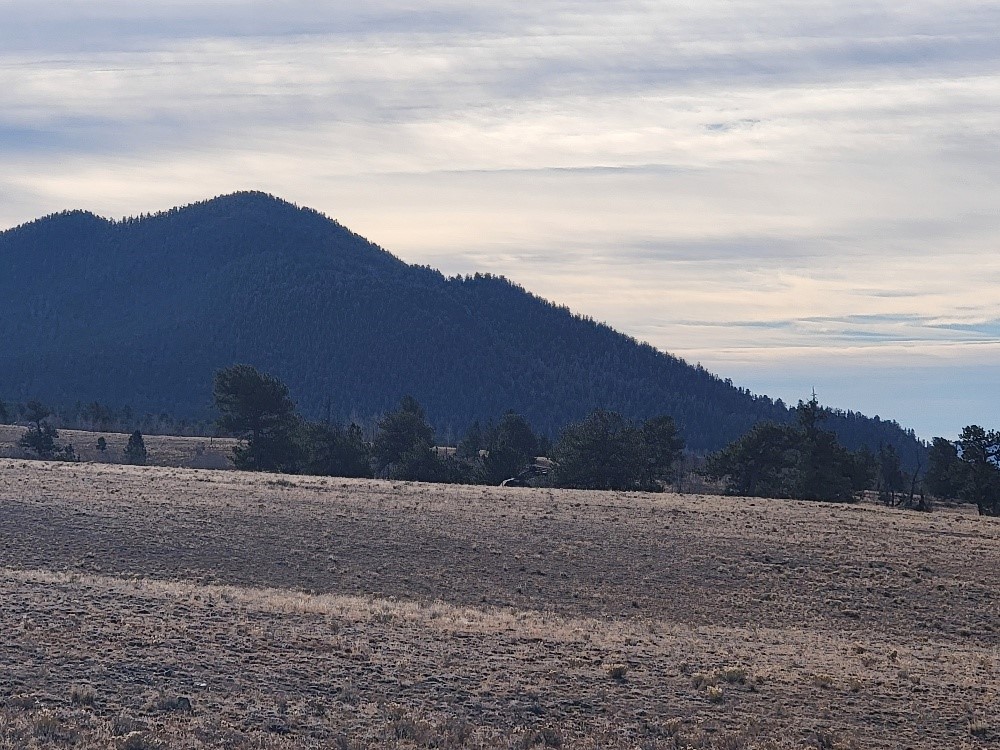 1162 Rocky Mountain Road Hartsel CO 80449
