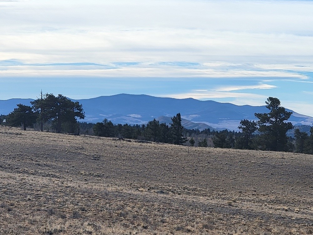 1162 Rocky Mountain Road Hartsel CO 80449