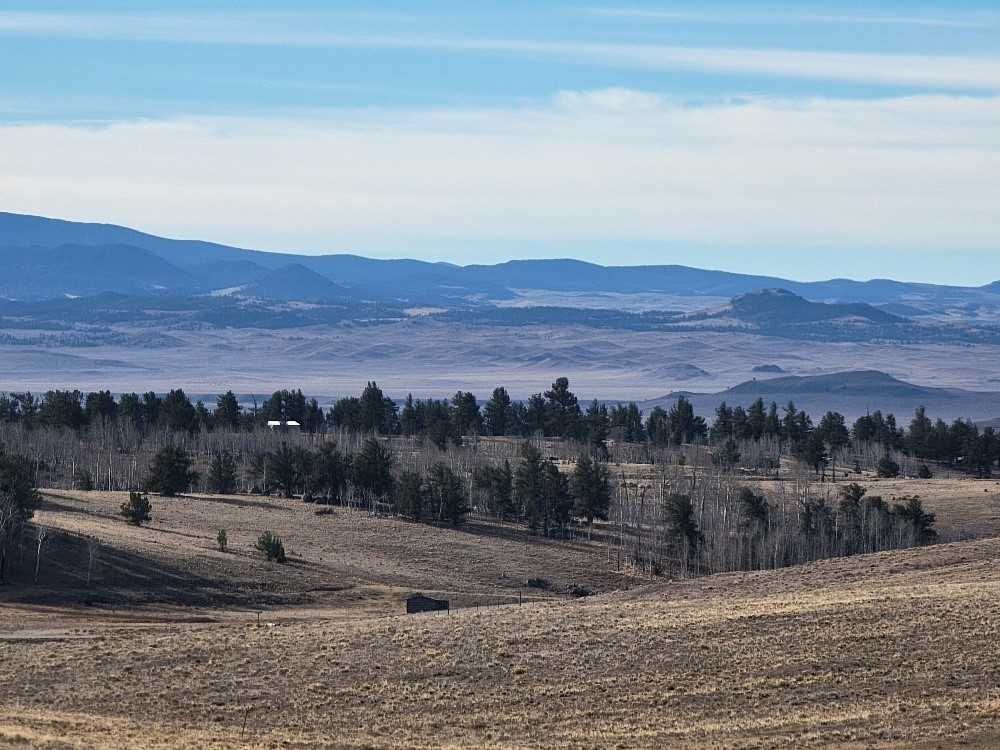 1162 Rocky Mountain Road Hartsel CO 80449