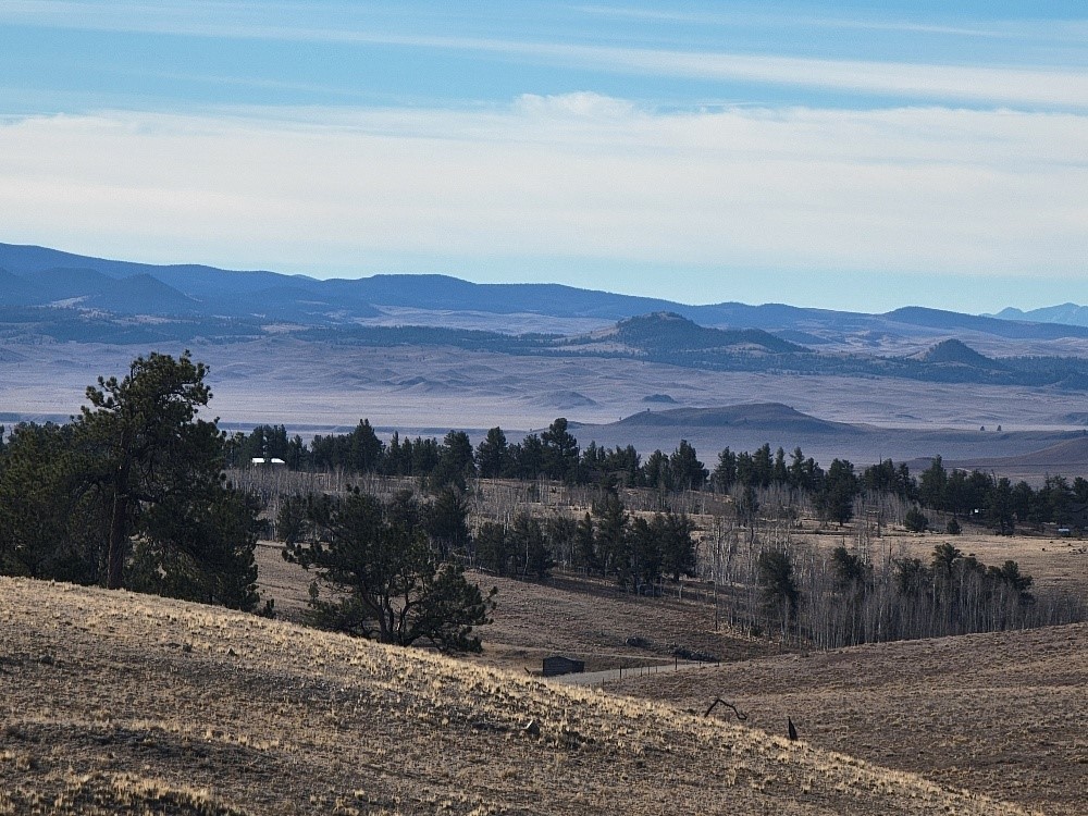 1162 Rocky Mountain Road Hartsel CO 80449