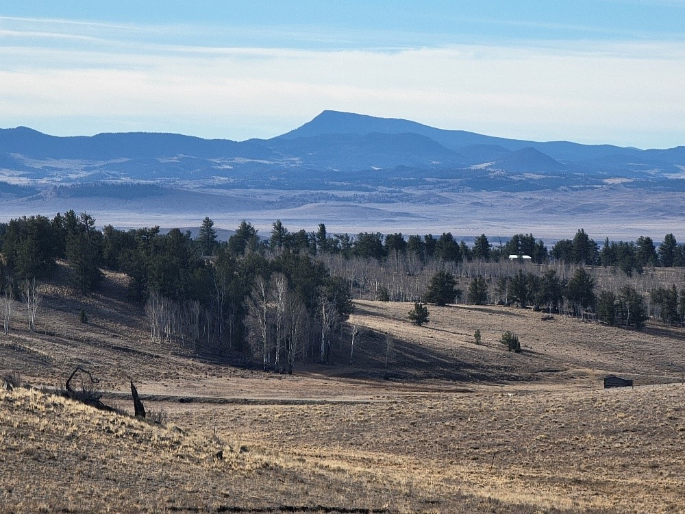 1162 Rocky Mountain Road Hartsel CO 80449