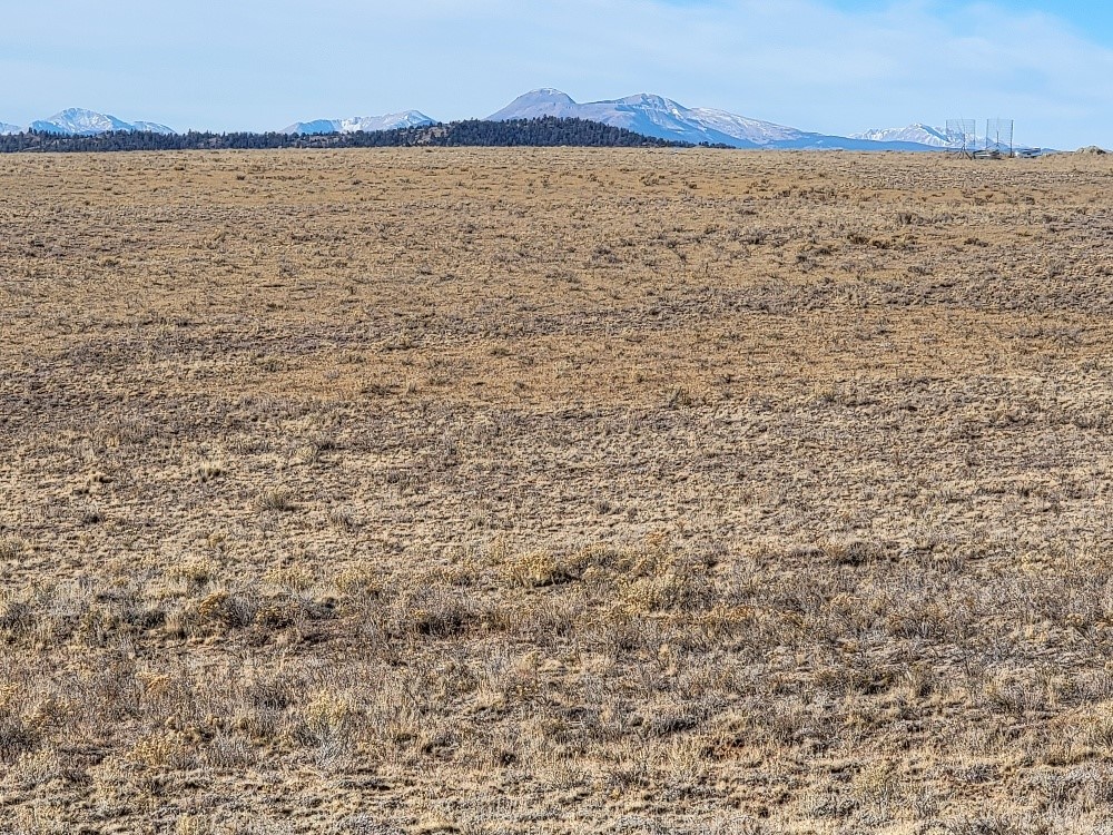 1162 Rocky Mountain Road Hartsel CO 80449