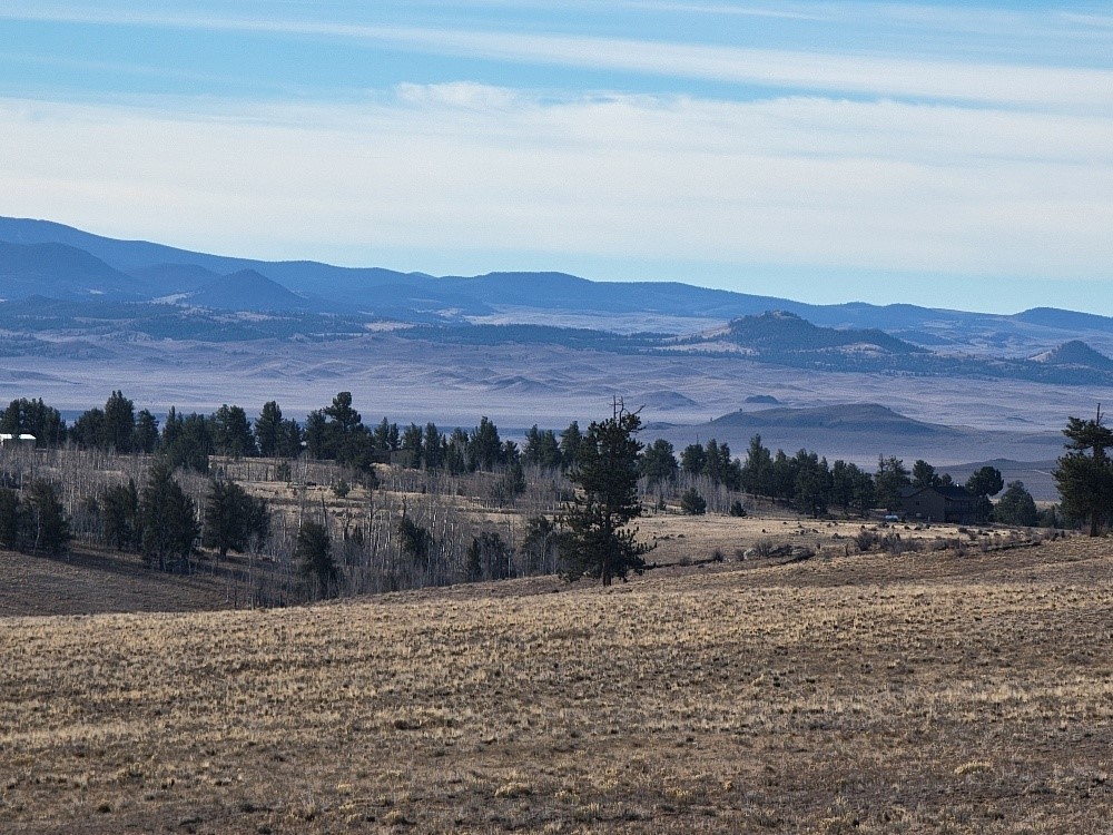 1162 Rocky Mountain Road Hartsel CO 80449