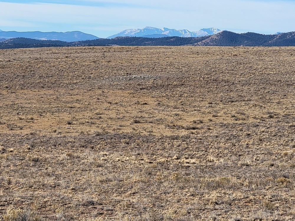 1162 Rocky Mountain Road Hartsel CO 80449