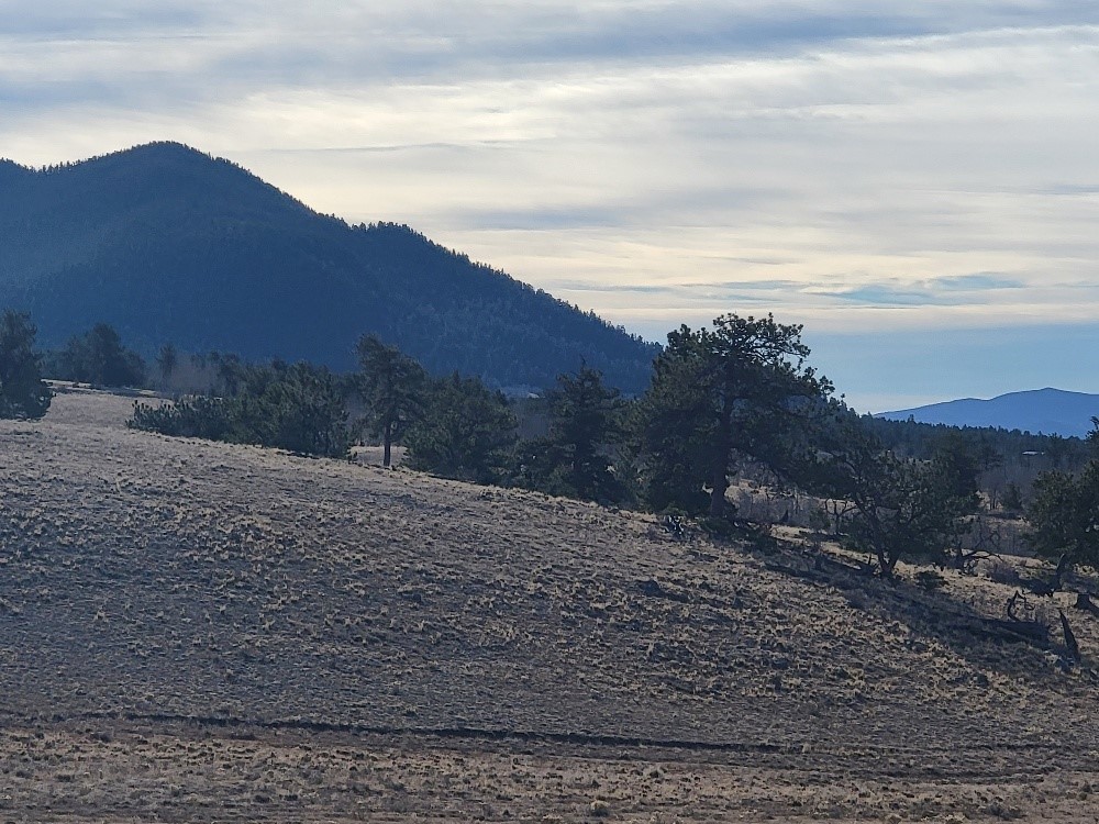 1162 Rocky Mountain Road Hartsel CO 80449