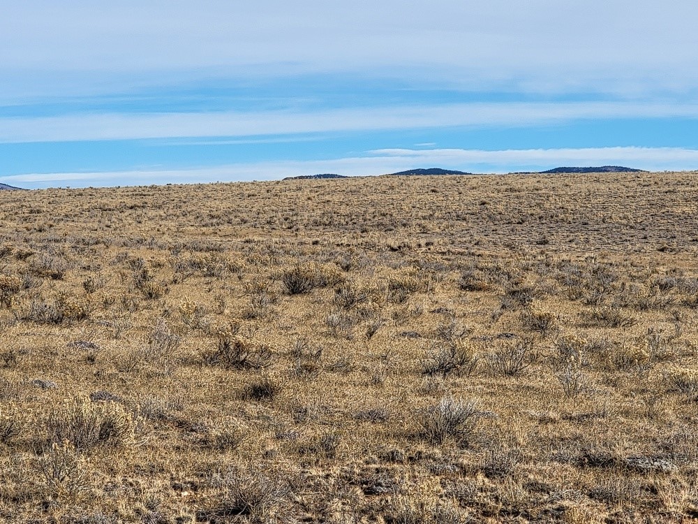 1162 Rocky Mountain Road Hartsel CO 80449