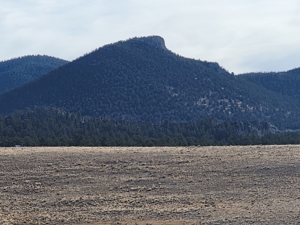 1162 Rocky Mountain Road Hartsel CO 80449