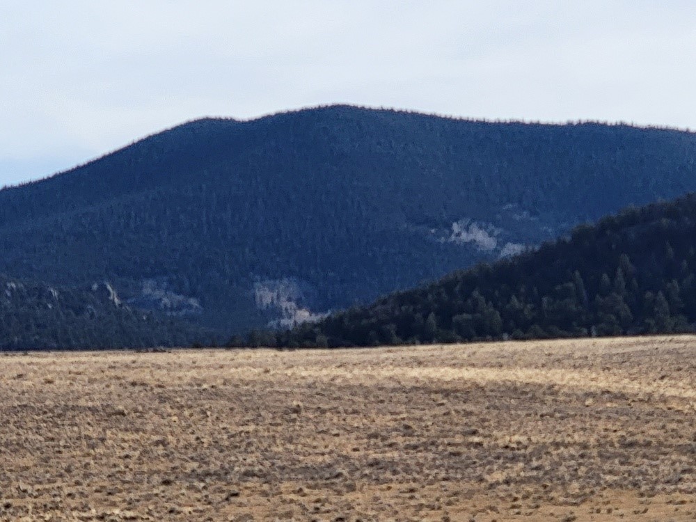 1162 Rocky Mountain Road Hartsel CO 80449